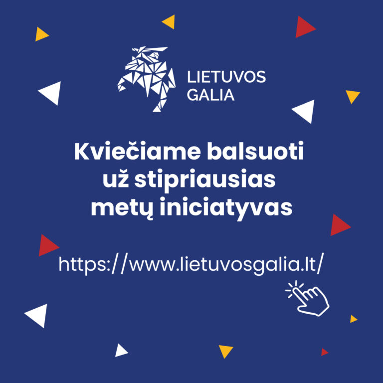 Mūsų stovykla projekte „Lietuvos galia“!