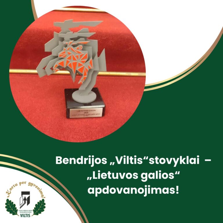 „Lietuvos galios“ apdovanojimas bendrijos stovyklai!